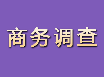 鄂州商务调查